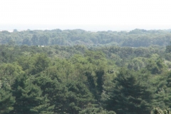2007 01050
