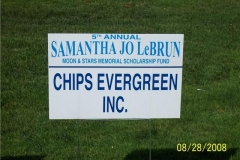 2008 CHIP