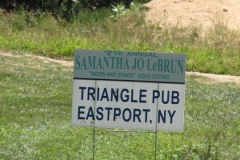 2010 SJL 39