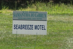 2010 SJL 40